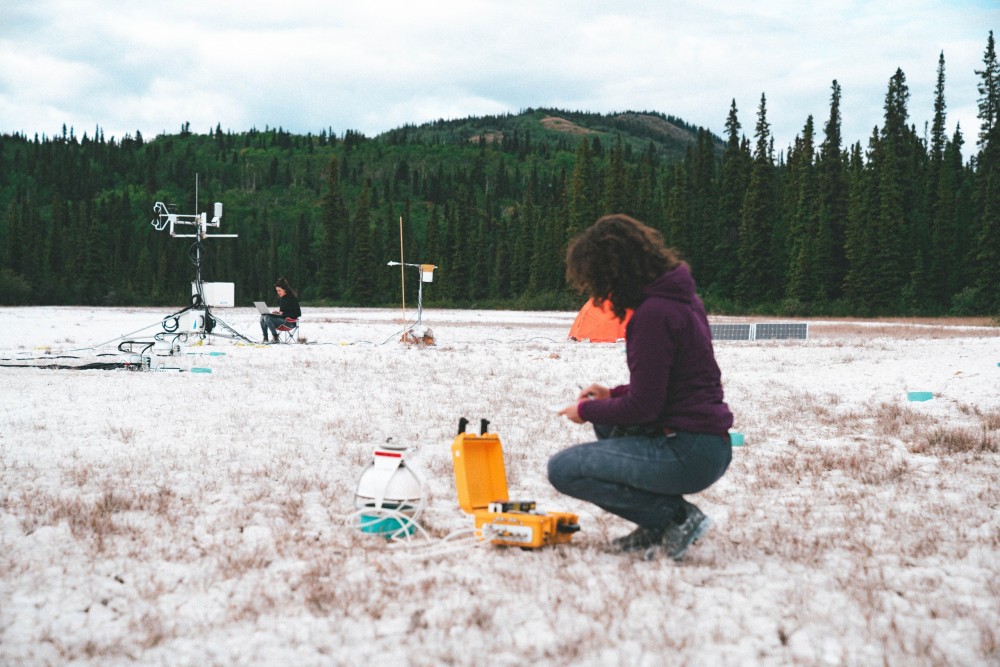 field experiment