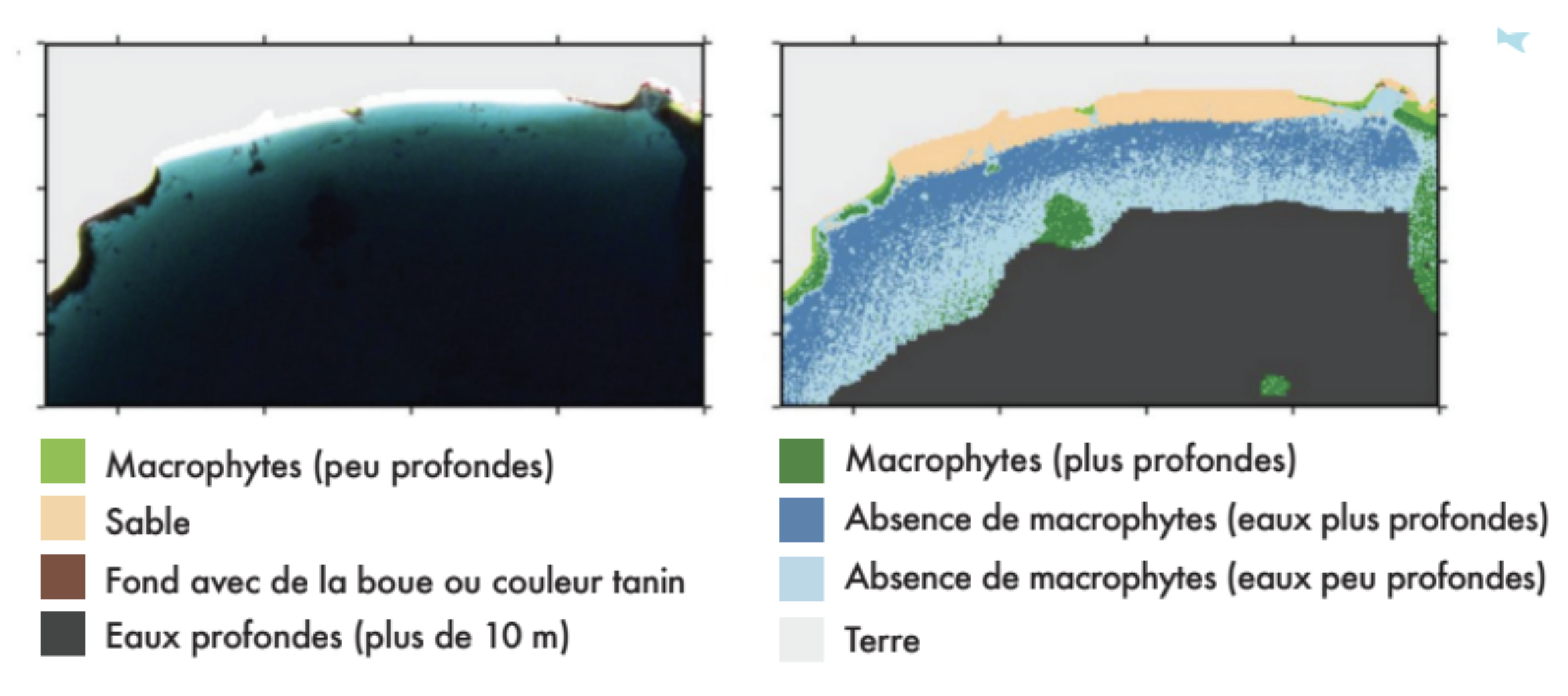Satellite image showing seaweeds, sand and water