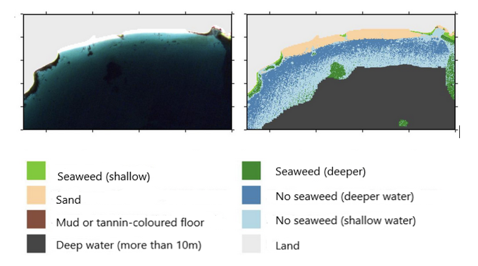 Satellite image showing seaweeds, sand and water
