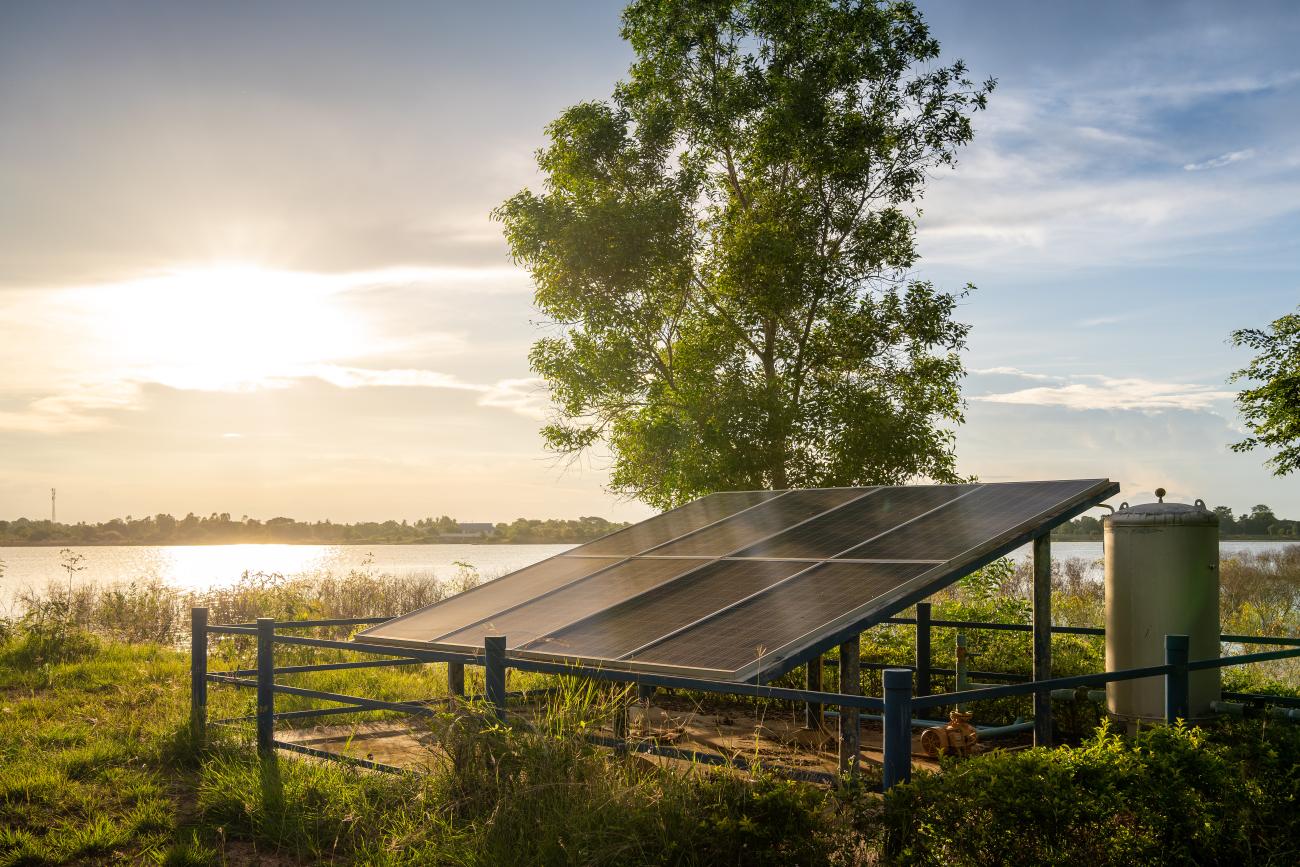 A grid of solar panels on grass, with the sun and water in the background